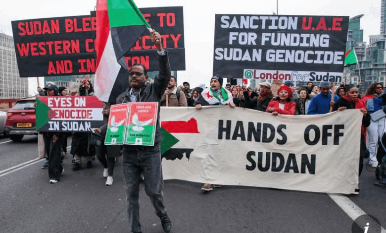 گزارش محرمانه سازمان ملل، نقش امارات در جنگ سودان را زیر سوال برد