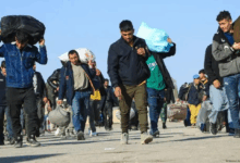 رنج بی‌پایان پناه‌جویان افغانستان؛ نه بازگشت ممکن است، نه عبور