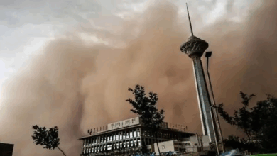 مرگ‌ومیر ناشی از آلودگی هوا؛ هشدار جدی برای سلامت عمومی مردم ایران