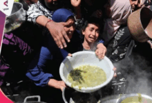 افزایش بحران جهانی گرسنگی؛ نزدیک به 300 میلیون انسان در رنج