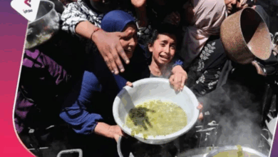 افزایش بحران جهانی گرسنگی؛ نزدیک به 300 میلیون انسان در رنج