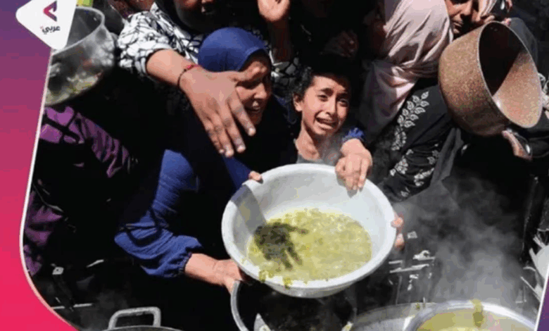 افزایش بحران جهانی گرسنگی؛ نزدیک به 300 میلیون انسان در رنج