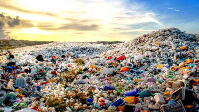 Avustralya'da Yeni Nesil Biyolojik Olarak Parçalanabilen Plastiklerin Keşfi