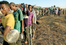 Dünya Gıda Örgütü Güney Afrika'da İnsani Kriz Uyarısında Bulundu