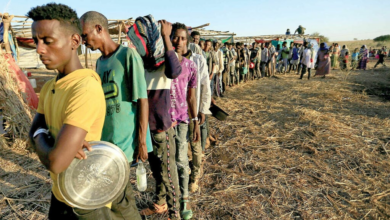 Dünya Gıda Örgütü Güney Afrika'da İnsani Kriz Uyarısında Bulundu