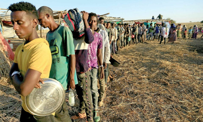 Dünya Gıda Örgütü Güney Afrika'da İnsani Kriz Uyarısında Bulundu