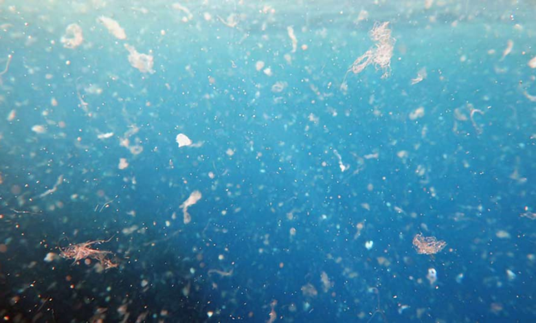 "Mikroplastiklerin" Küresel İklim Üzerindeki Yıkıcı Etkisi