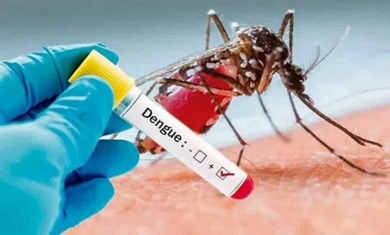 Bangladeş'te İkinci Ölümcül Dang Humması Salgını