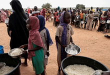 Uluslararası Mal Örgütü'nden Sudan'daki İnsani Krize İlişkin Uyarı