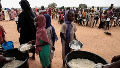 Uluslararası Mal Örgütü'nden Sudan'daki İnsani Krize İlişkin Uyarı