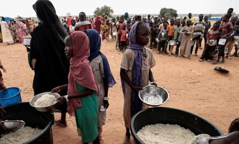 Uluslararası Mal Örgütü'nden Sudan'daki İnsani Krize İlişkin Uyarı