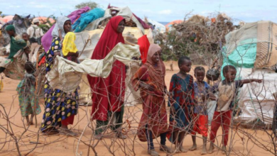 Somali Nüfusunun Üçte Biri İnsani Yardıma Muhtaç