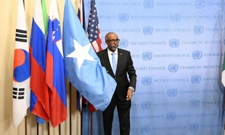 Somali'nin Güvenlik Konseyi'ndeki Tarihi Üyeliği; Diplomasi ve Bölgesel Gelişmelerde Yeni Bir Dönemin Başlangıcı