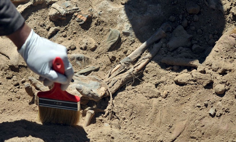 Musul'daki Toplu Mezarlar; IŞİD Şiddetinin Kalıntıları