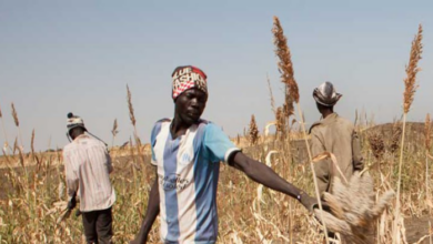 Güney Sudan Çiftçileri İklim Değişikliği Nedeniyle Ciddi Kıtlıkla Karşı Karşıya