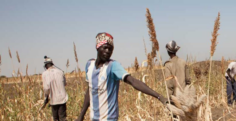 Güney Sudan Çiftçileri İklim Değişikliği Nedeniyle Ciddi Kıtlıkla Karşı Karşıya