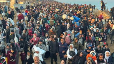 Uluslararası Göç Örgütü: Filistinlilerin Gazze'den Zorla Yerinden Edilmesine Katılmayacağız