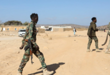Somali'de IŞİD'a Ağır Darbe