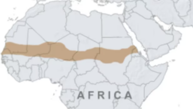 IŞİD Terör Tehditlerinin Afrika Kıyılarına Yayılması