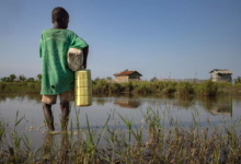 Doğu ve Güney Afrika'da Yaygın Kolera Salgını