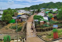 Rohingya krizi; Bangladeş Ormanlarında Biyolojik Çeşitlilik İçin Ciddi Bir Tehdit